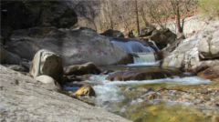 【春光灿烂 山花灿漫】3月21日太白山景区